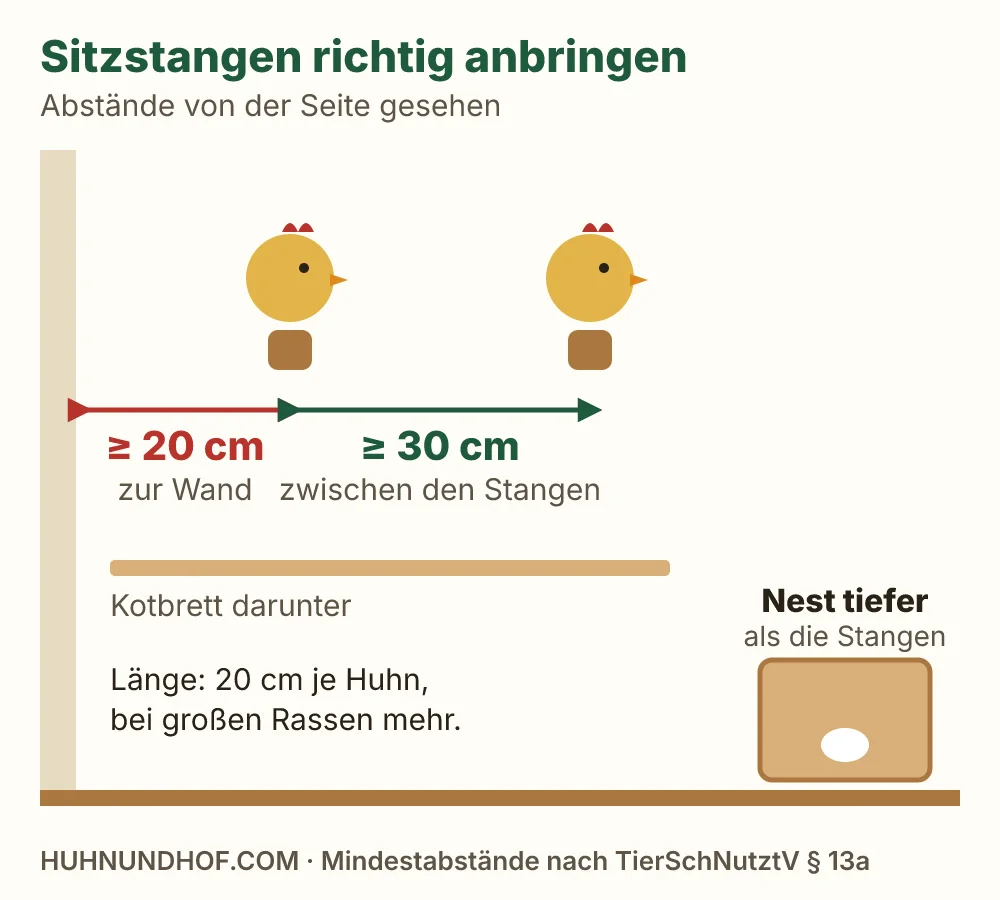 Seitenansicht: zwei Hühner auf Sitzstangen, mindestens 20 Zentimeter von der Wand und 30 Zentimeter voneinander entfernt, darunter ein Kotbrett, das Nest tiefer