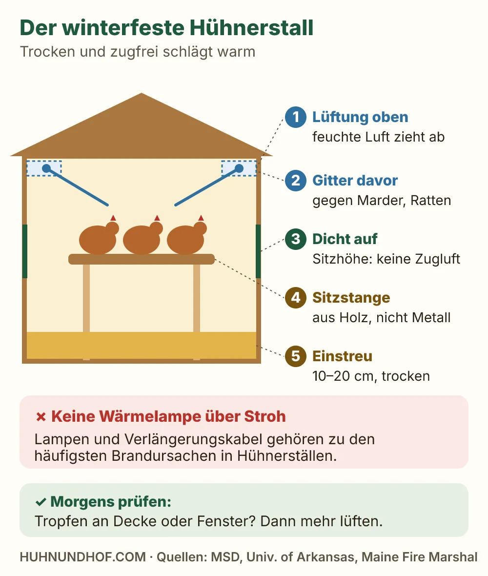 Grafik: Querschnitt eines Hühnerstalls mit Lüftungsöffnungen unter dem Dach, dichten Wänden auf Höhe der Sitzstange, Holzstange und dicker Einstreu, darunter Hinweise zu Wärmelampen und Kondenswasser